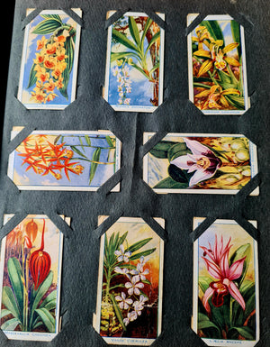 Vintagepickers vintage Cigarette cards.