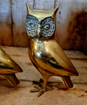 Vintagepickers Owls.